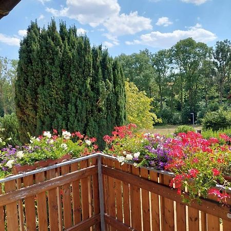 Ferienwohnung Meissner Bad Rodach Εξωτερικό φωτογραφία